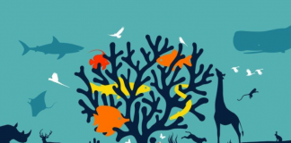 QUIZ: Werelddag van de Wilde Dieren en Planten wildlife