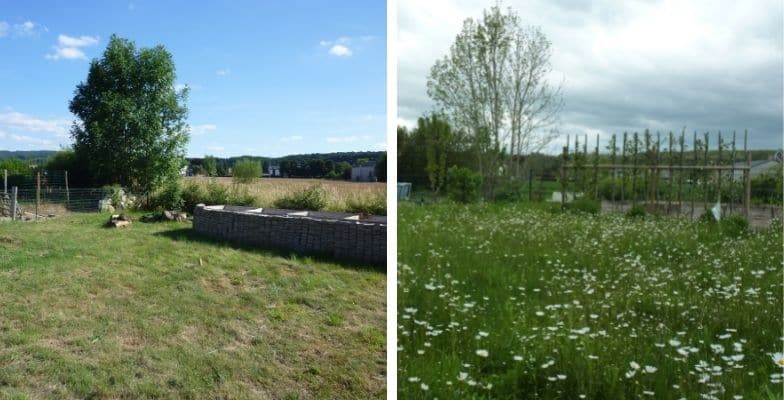 Voor- en nafoto van de tuin van Bernadette Marchal