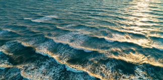 Klimaat: “tropicalisering” van de Noordzee Golven in de Noordzee.