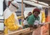 Een panoramische foto van een Ebola-behandelcentrum van de Wereldgezondheidsorganisatie (WHO) in Afrika. Op de voorgrond spreekt een hulpverlener in een geel beschermend pak met een vrouw die een baby draagt achter een houten barrière. Een tweede hulpverlener staat ernaast met papieren. Op het terrein staan witte WHO-terreinwagens, een veldlaboratorium en tenten. Een grote houten paal toont borden met de tekst: "EBOLA TREATMENT CENTER: INTERNATIONAL MEDICAL EMERGENCY DECLARED" en "BUNDIBUGYO VARIANT". Een ander bord op de voorgrond somt "KEY EMERGENCY MEASURES" op. Een VN-helikopter vliegt in de lucht.
