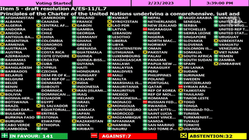 UN-Ukraine