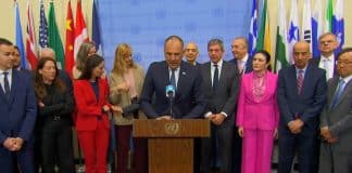 FN-Norge-Finland-Sverige-Hellas-Danmark-Island