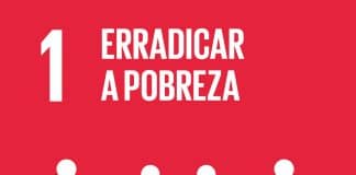 Objetivo 1