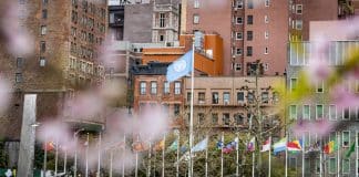 UN Flag