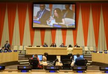 FN:s ekonomiska och sociala råd (ECOSOC)