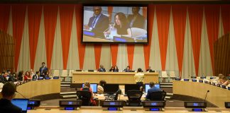 FN:s ekonomiska och sociala råd (ECOSOC)