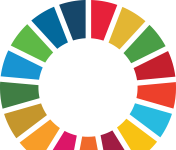 SDG Wheel