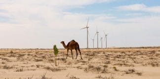 Foto: UNDP Mauritania/Freya Morales