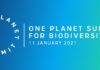 One Planet Summit: 14 miljarder dollar för den stora gröna muren i Sahel