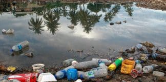 Plastavfall som ligger på stranden