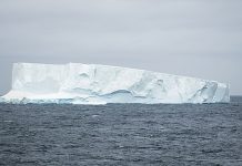 Havsyta och glaciär i bakgrunden