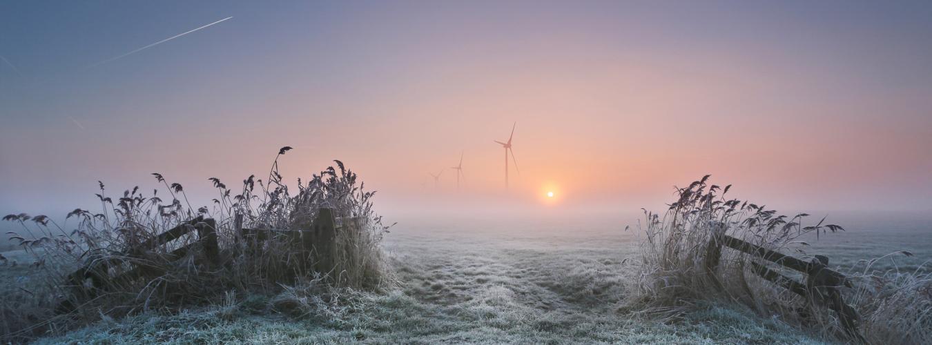 En frostig morgon