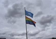 Två hissade flaggor, en för FN och en regnbågsflagga