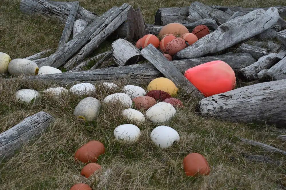 Plast som ligger i naturen