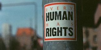 En dekal där det står every human has rights